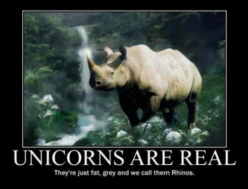 unicorns-rhinos